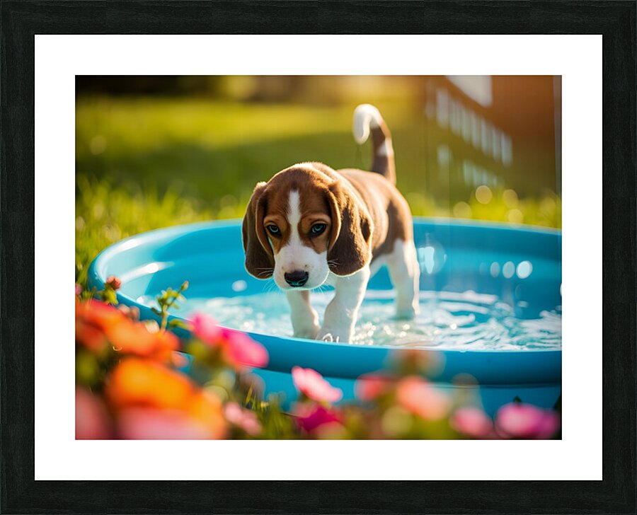 Beagle Puppy Discovers The Kiddie Pool Picture Frame print