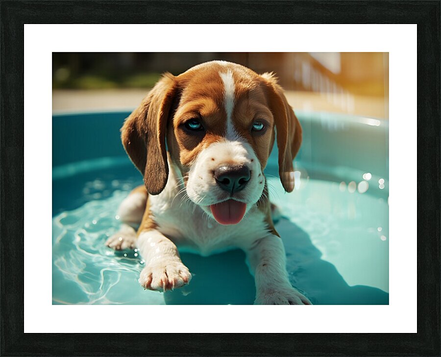 Tired Beagle Puppy Rests In The Kiddie Pool Picture Frame print