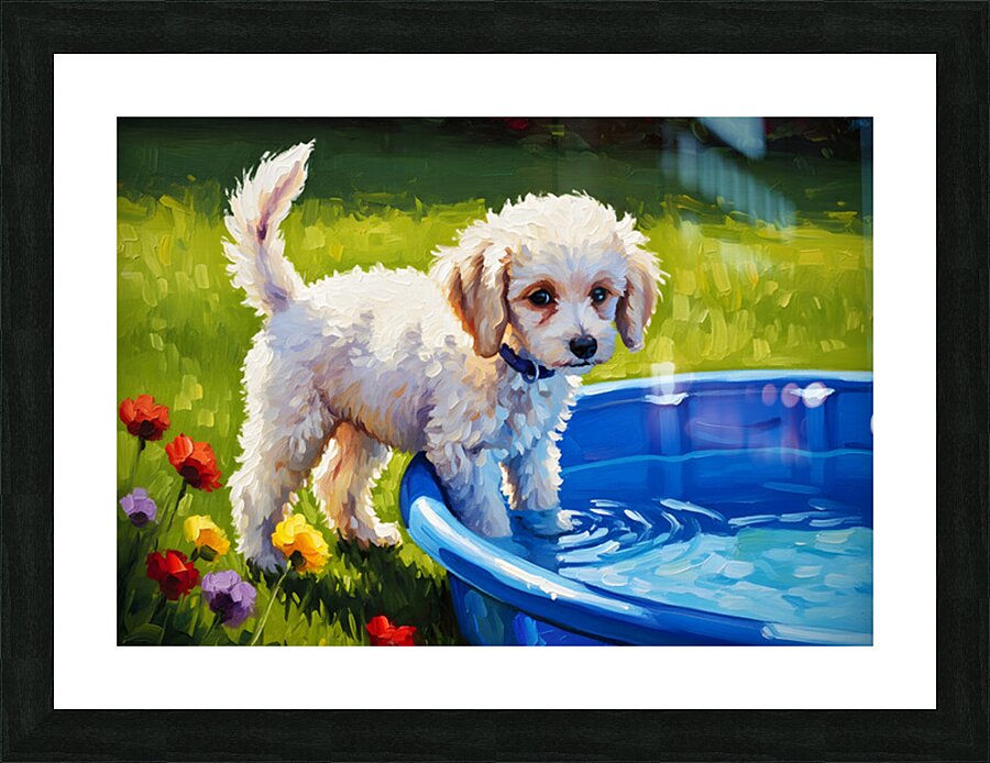 Poodle Puppy Discovers The Kiddie Pool Picture Frame print