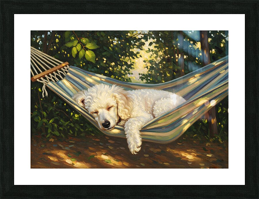 Poodle Puppy Naps In Hammock Picture Frame print