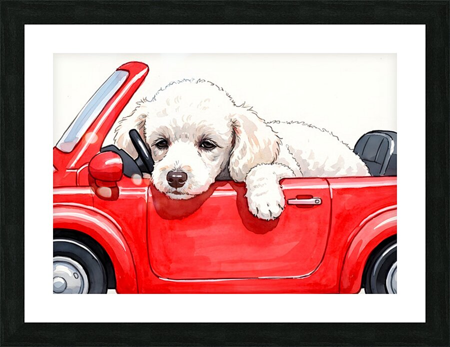 Sleepy Poodle Puppy Rests After Exciting Car Adventure Picture Frame print
