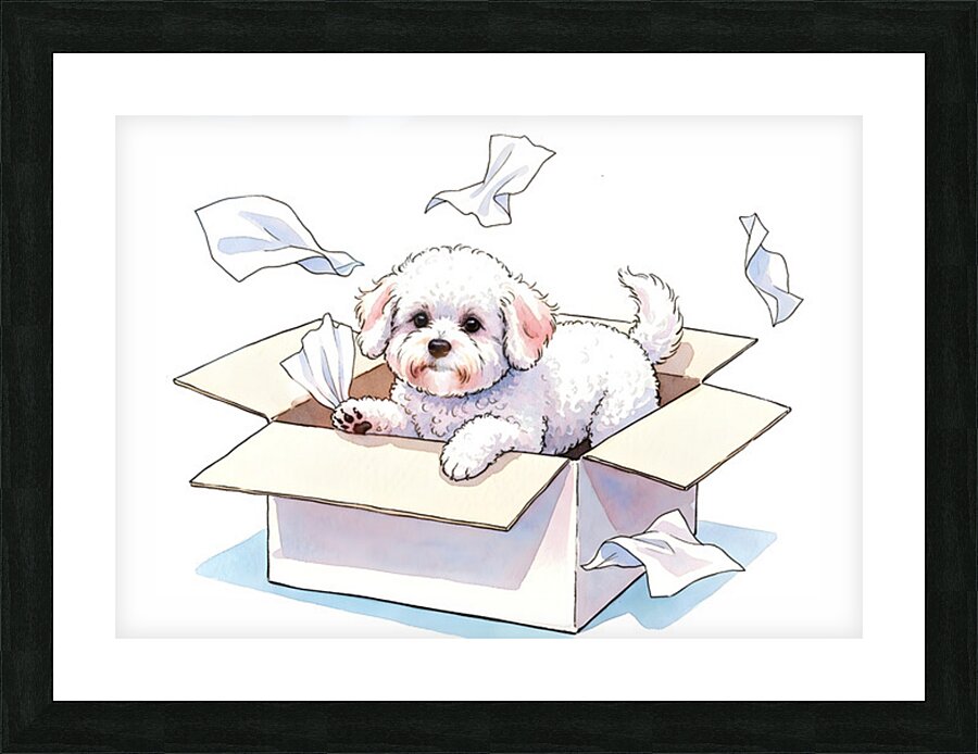 Bichon Frise Puppy Discovers Tissue Box Adventure Picture Frame print