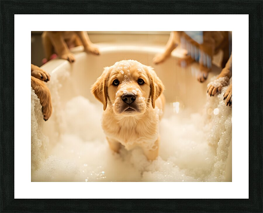 Peaceful Labrador Puppy Enjoying Calm Bath Time Picture Frame print