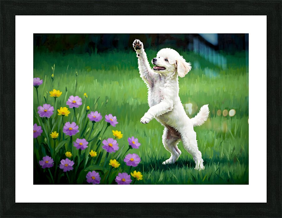 Excited Poodle Puppy Ready To Play Picture Frame print