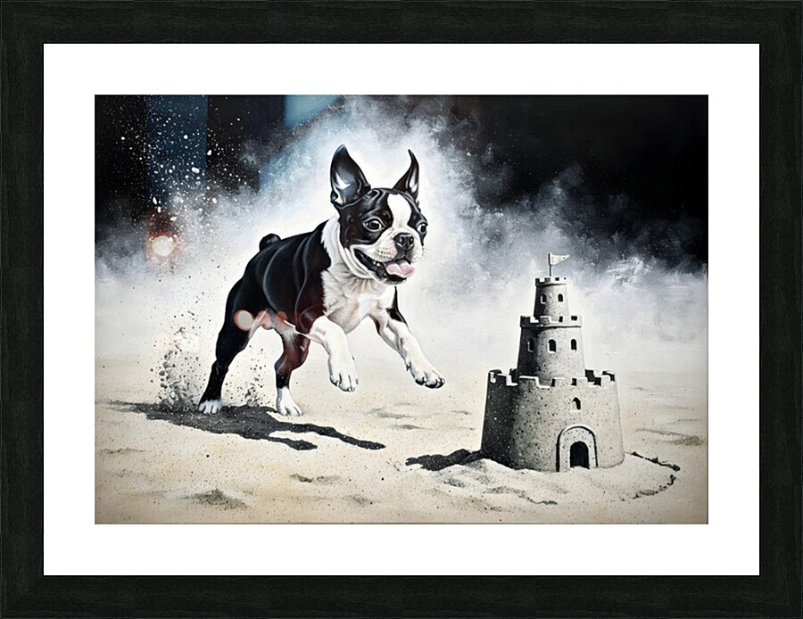 Boston Terrier Puppy Discovers Amazing Sand Castle Picture Frame print