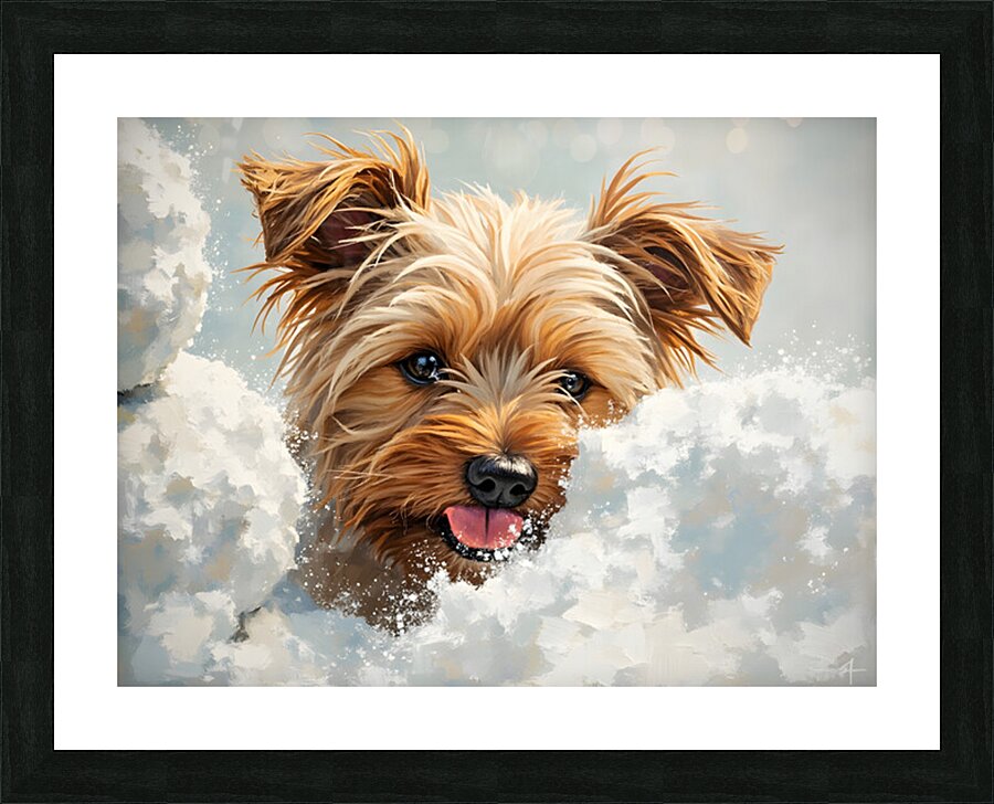 Surprised Yorkshire Terrier Puppy In Winter Garden Picture Frame print