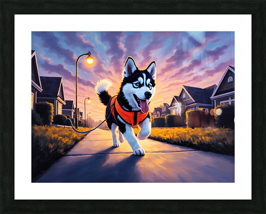 Husky Puppy Ready For Evening Adventure Picture Frame print