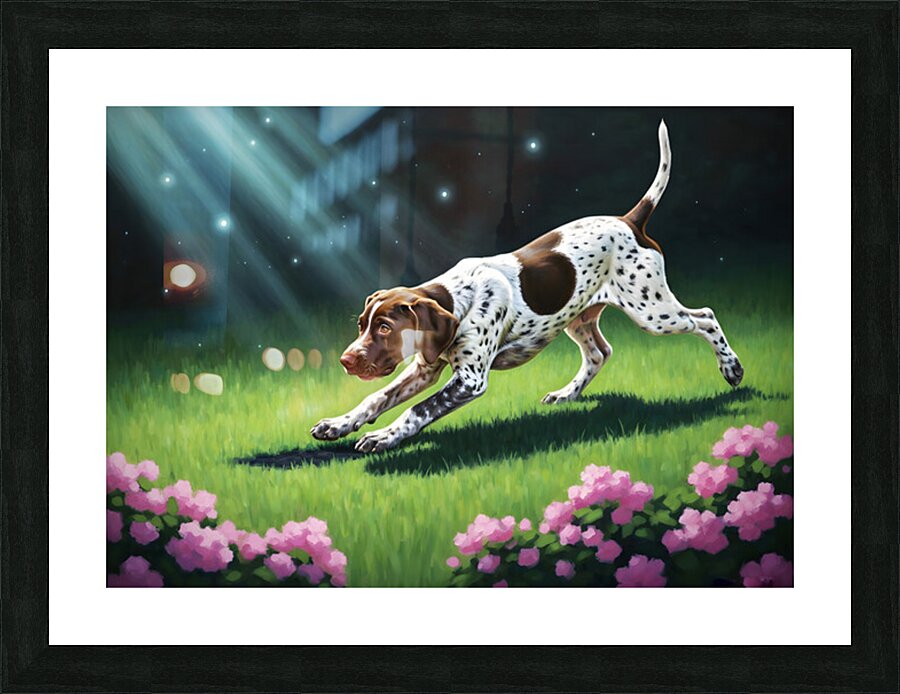 German Shorthaired Pointer Puppy Discovers Night Shadows Picture Frame print