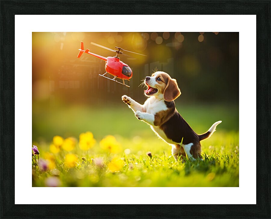 Beagle Puppy Discovers Flying Toy Picture Frame print