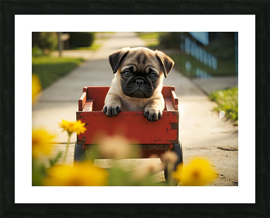Sleepy Pug Puppy Rests After Wagon Adventure Picture Frame print