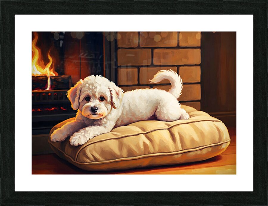 Bichon Frise Puppy Finds Perfect Fireplace Spot Picture Frame print