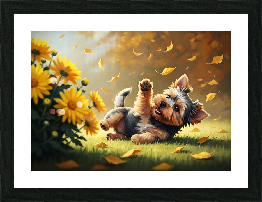 Yorkshire Terrier Puppy Successfully Catches Brown Oak Leaf Picture Frame print