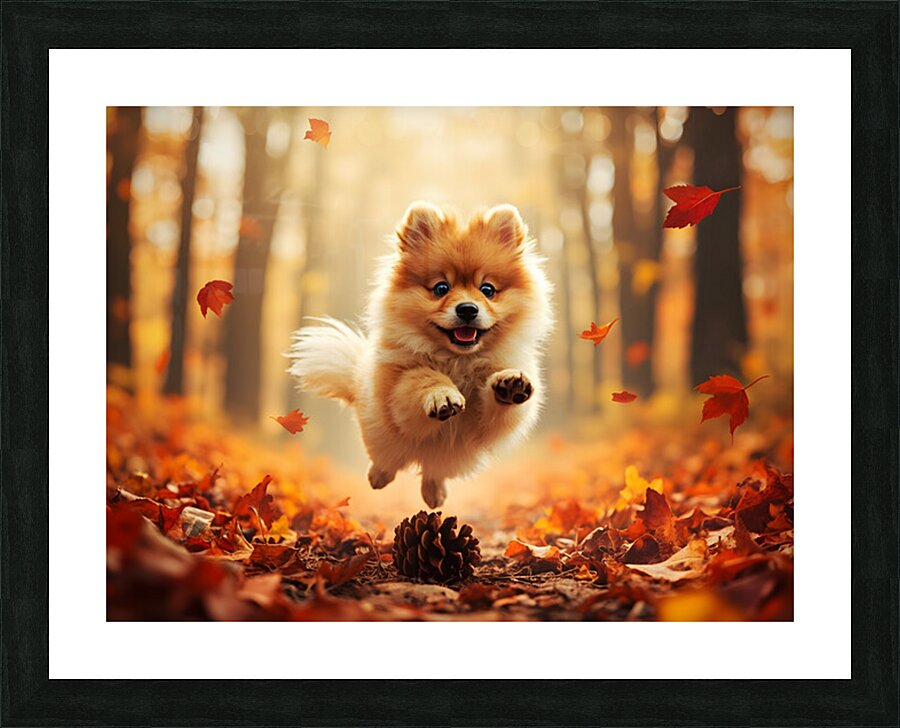 Pomeranian Puppy Carries Pinecone Through Forest Picture Frame print