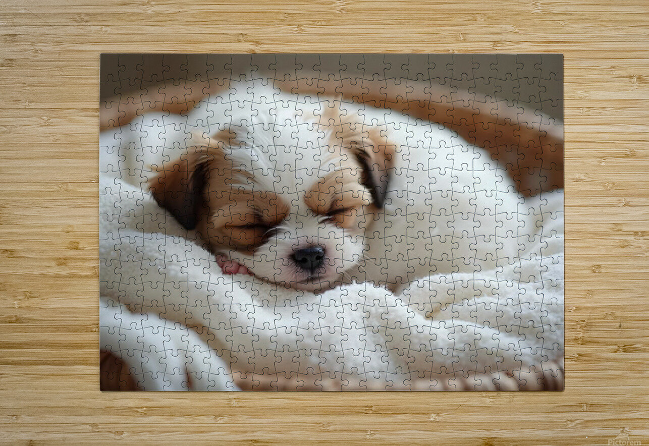 Peaceful Shih Tzu Puppy Sleeps In Cream Towels Puppy Prints Puzzle printing