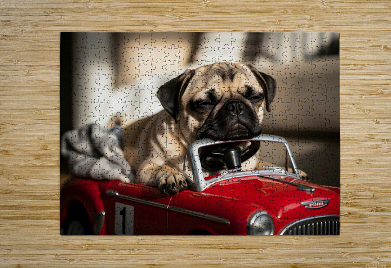 Sleepy Pug Puppy After Car Adventure Puppy Prints Puzzle printing