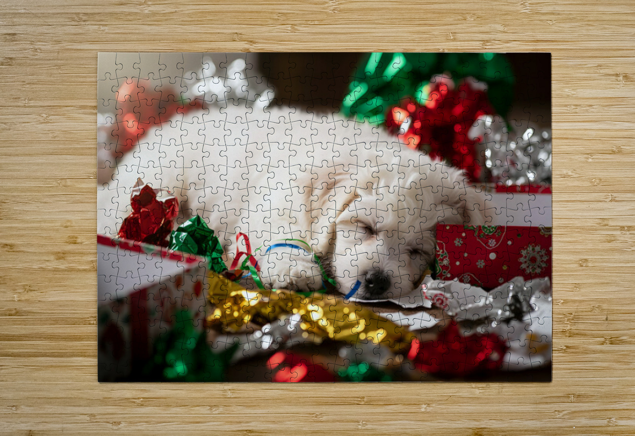 Sleepy Bichon Frise Puppy Naps Among Holiday Wrapping Puppy Prints Puzzle printing