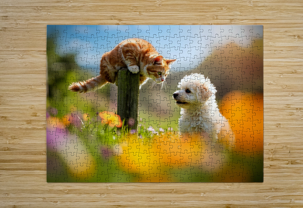 Bichon Frise Puppy Meets Garden Cat Puppy Prints Puzzle printing