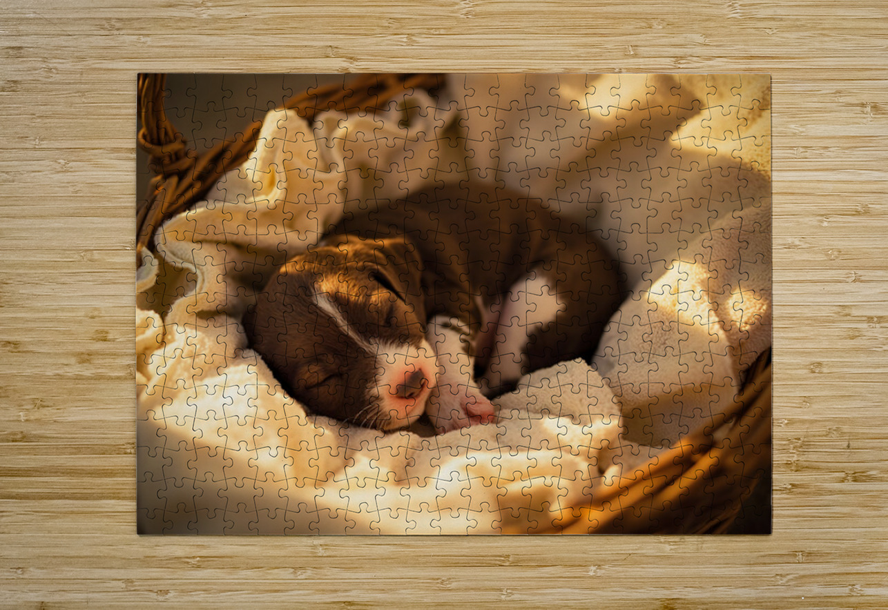 German Shorthaired Pointer Puppy Dreams Peacefully Puppy Prints Puzzle printing