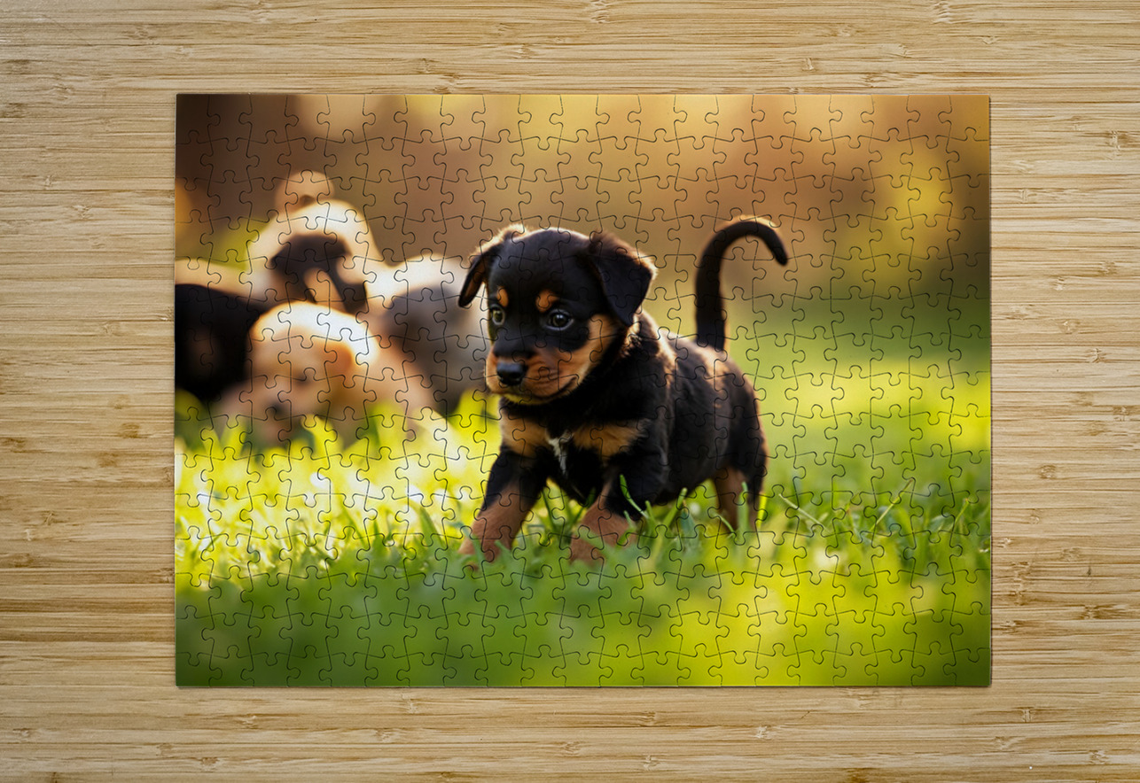 Rottweiler Puppy Ready To Play Puppy Prints Puzzle printing