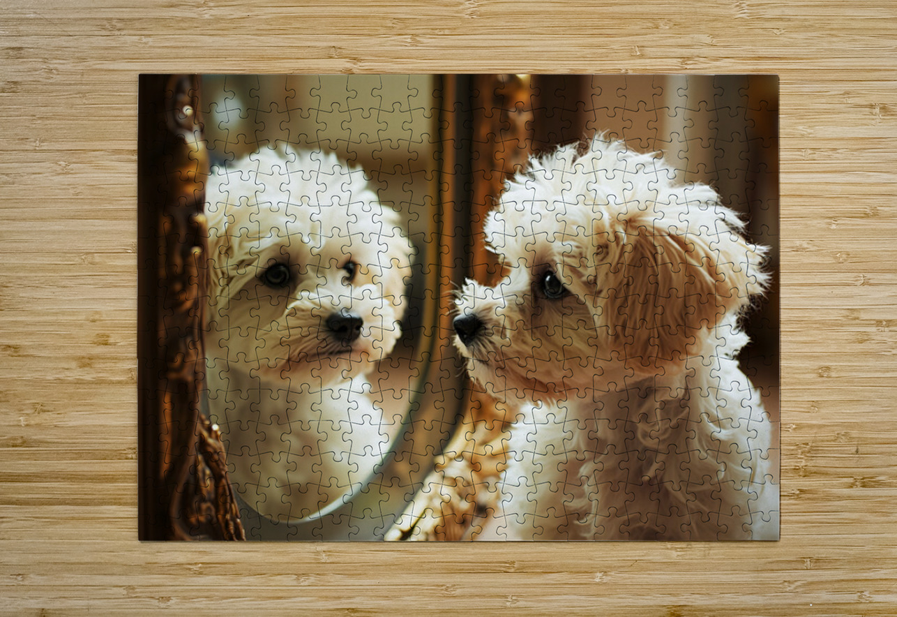Happy Bichon Frise Puppy Wags At His Reflection Puppy Prints Puzzle printing
