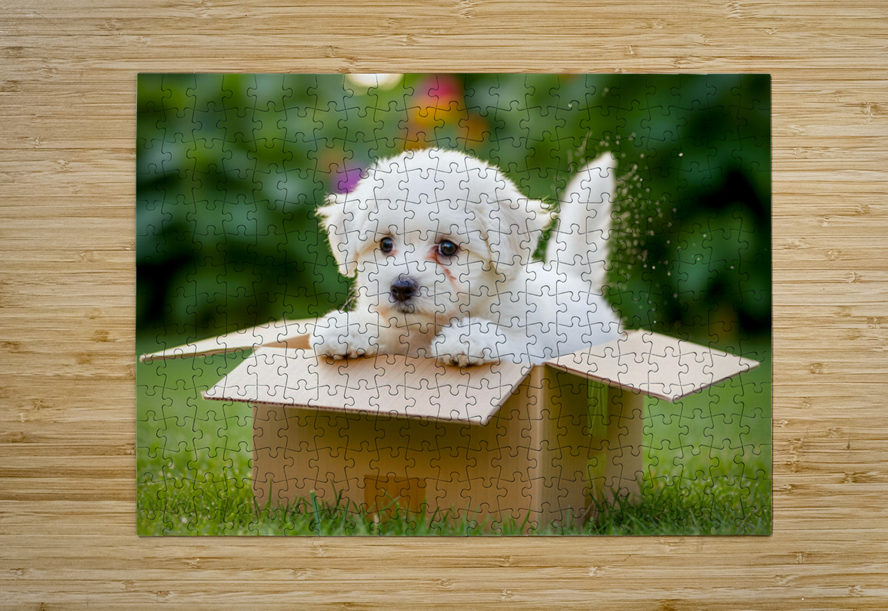Happy Bichon Frise Puppy With Discovered Toy Treasures Puppy Prints Puzzle printing