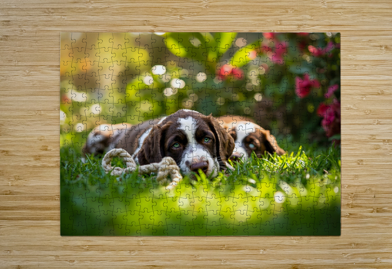 German Shorthaired Pointer Puppies Share Chew Toy Together Puppy Prints Puzzle printing