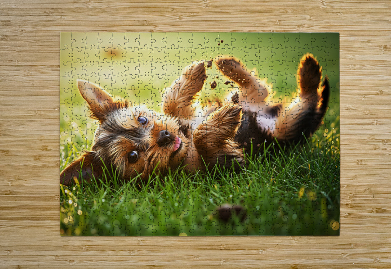 Tired Yorkshire Terrier Heads Home Puppy Prints Puzzle printing