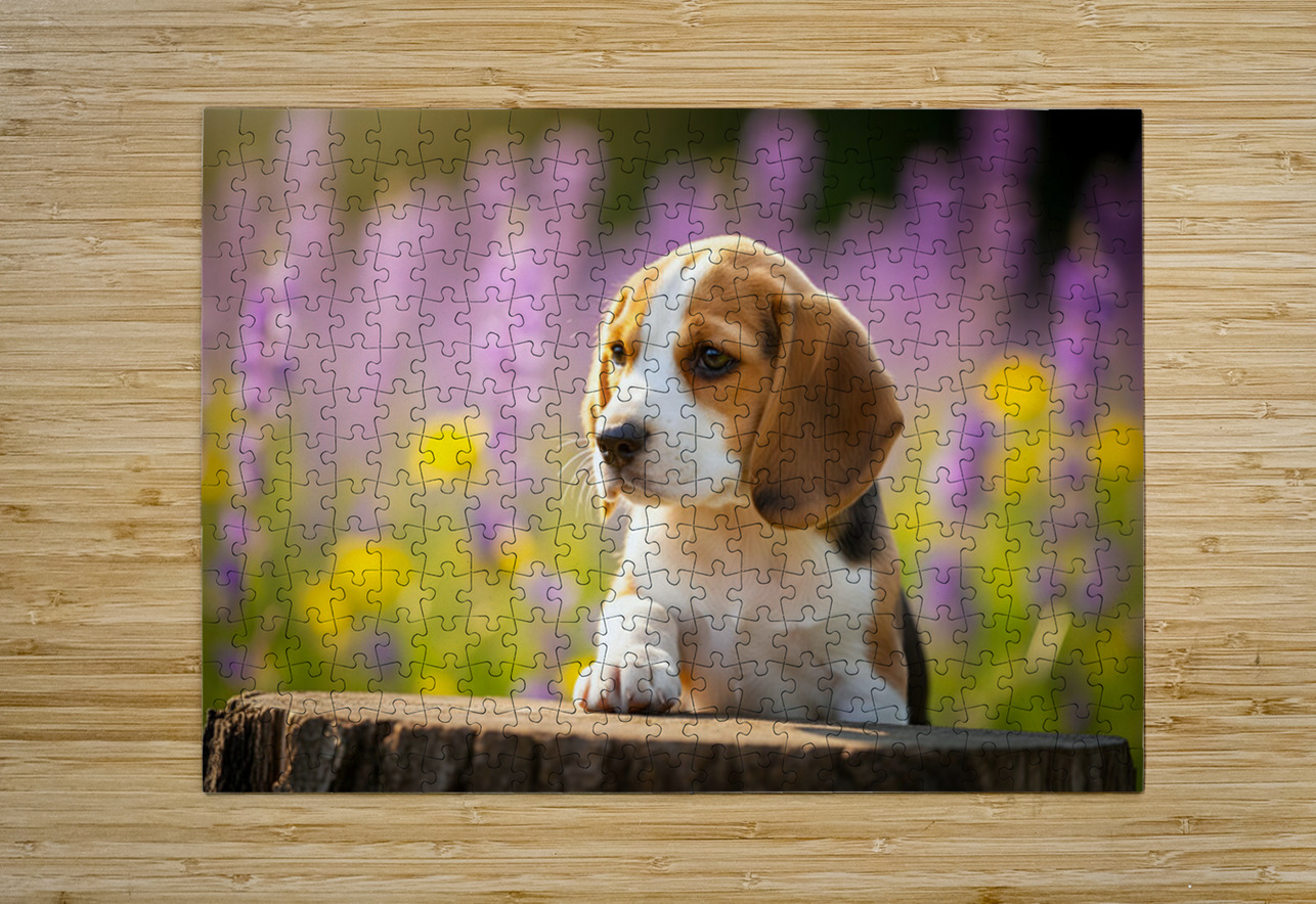 Beagle Puppy Claims His Royal Throne Puppy Prints Puzzle printing