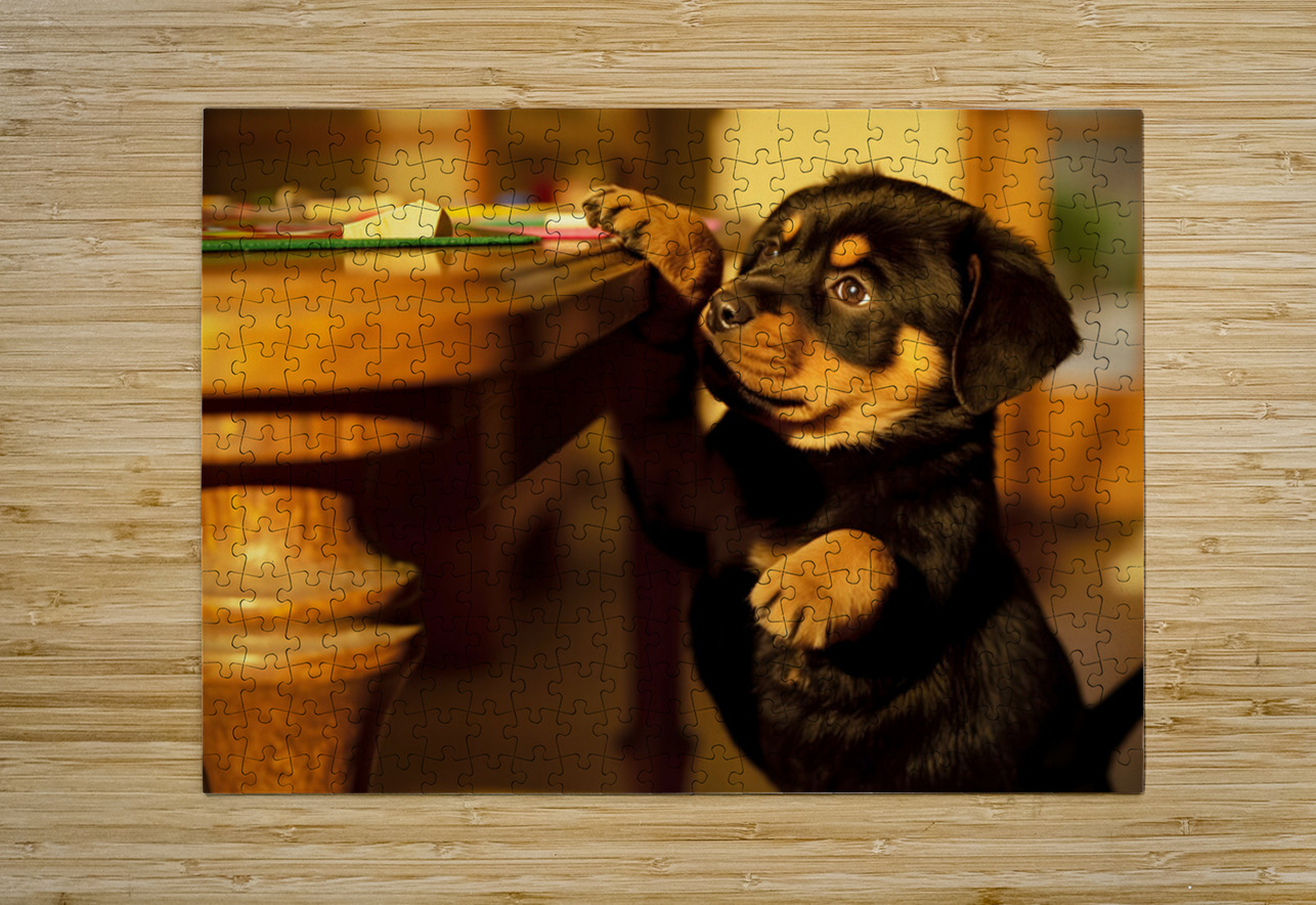 Rottweiler Puppy Discovers Family Game Night Puppy Prints Puzzle printing