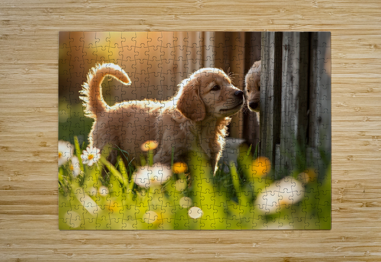 Golden Retriever Puppy Discovers Park Fence Puppy Prints Puzzle printing