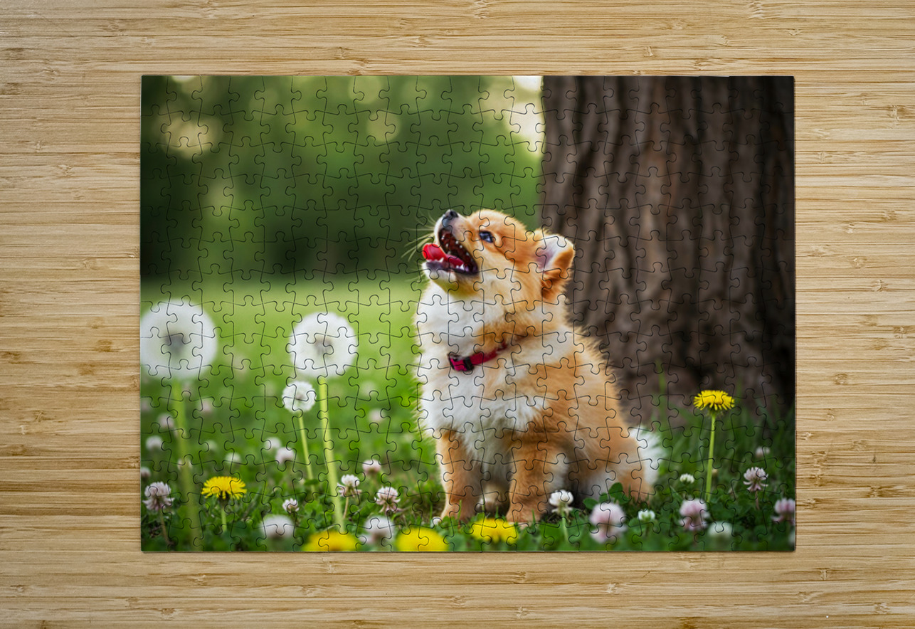 Playful Pomeranian Puppy Finds New Fun Around The Tree Puppy Prints Puzzle printing