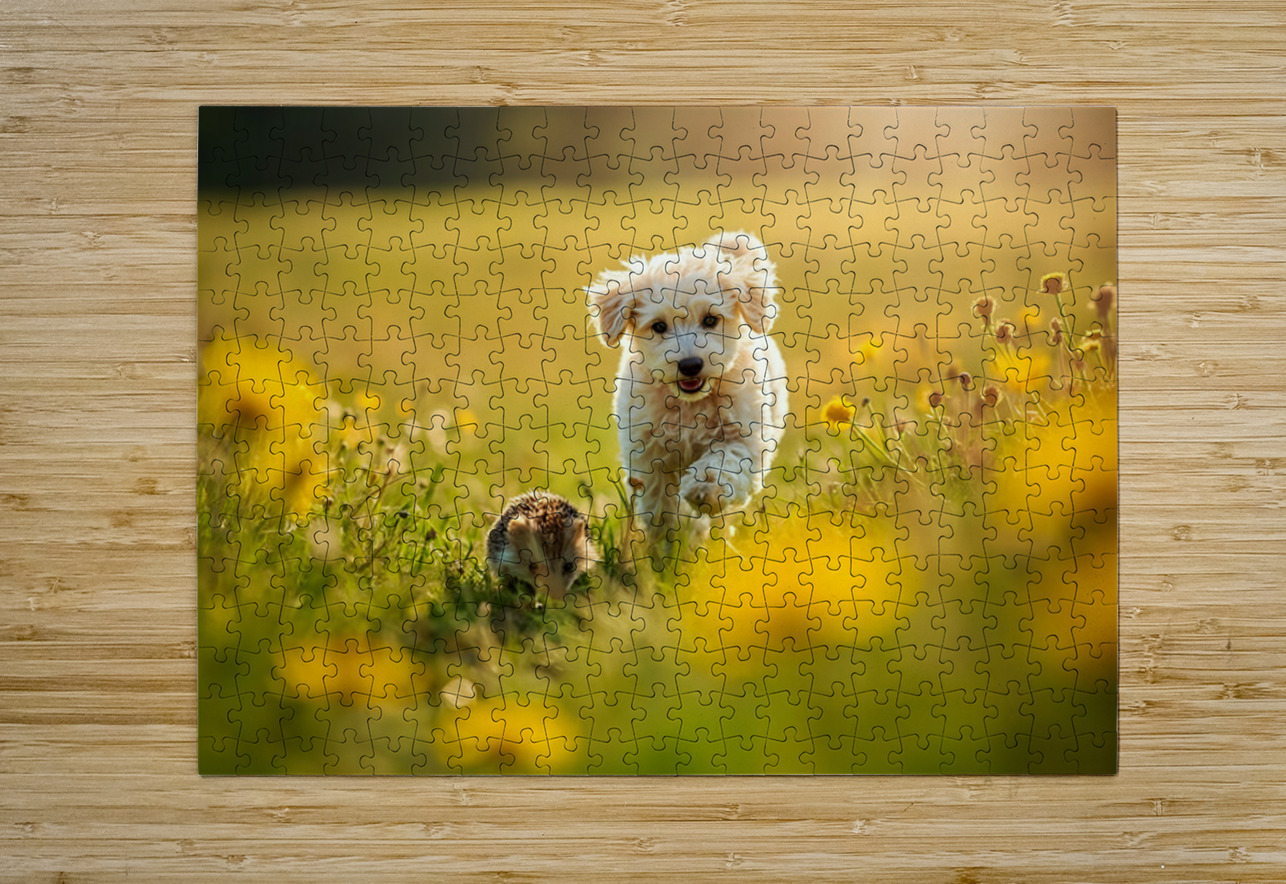 Poodle Puppy Rests Peacefully With Hedgehog Companion Puppy Prints Puzzle printing