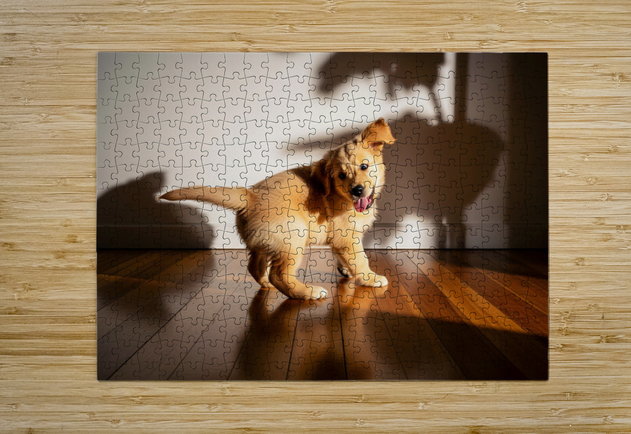 Sleepy Golden Retriever Puppy Rests After Shadow Chase Puppy Prints Puzzle printing