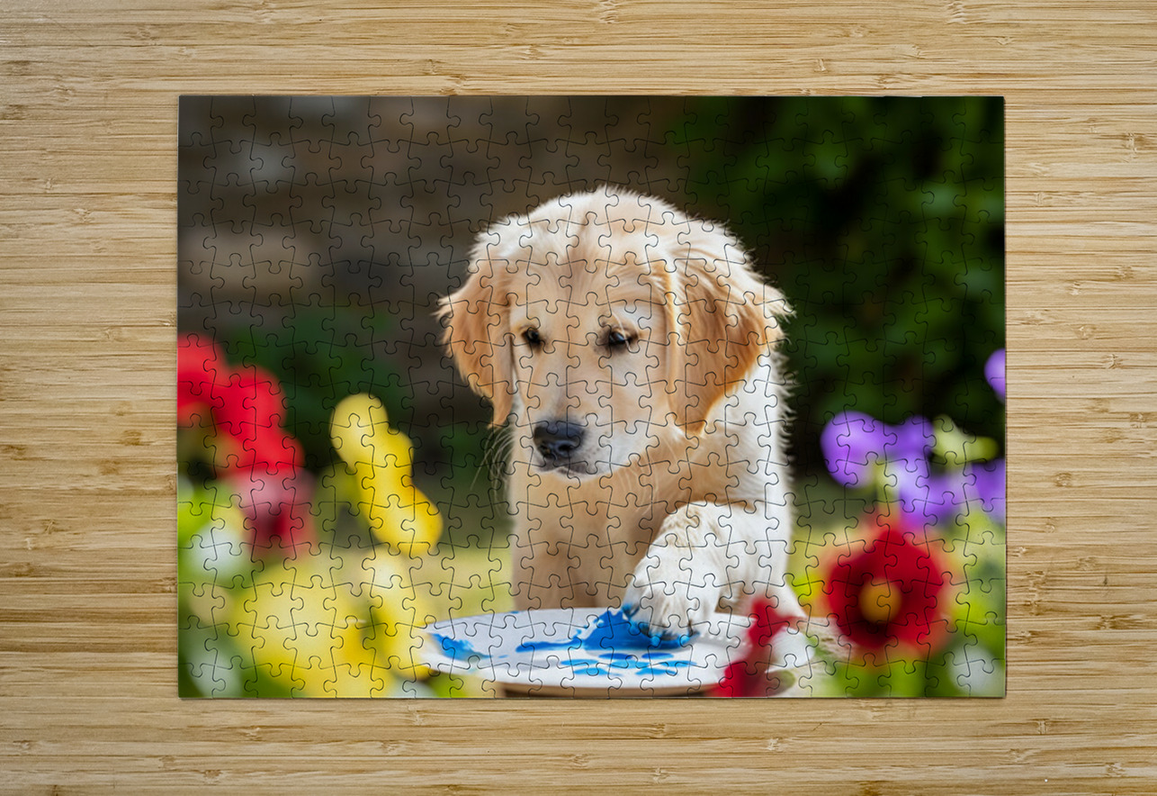 Golden Retriever Puppy Ready To Give Pawprint Autograph Puppy Prints Puzzle printing