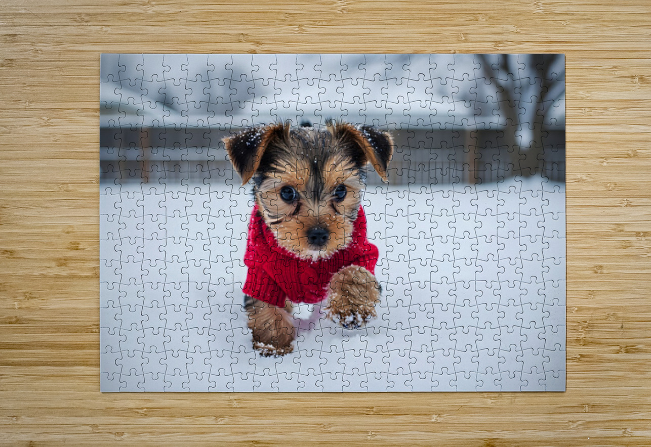 Yorkshire Terrier Puppy Watches Winter Snow Fall Puppy Prints Puzzle printing