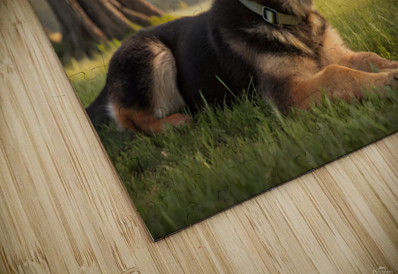 German Shepherd Puppy Resting Watches Butterfly Puppy Prints Puzzle