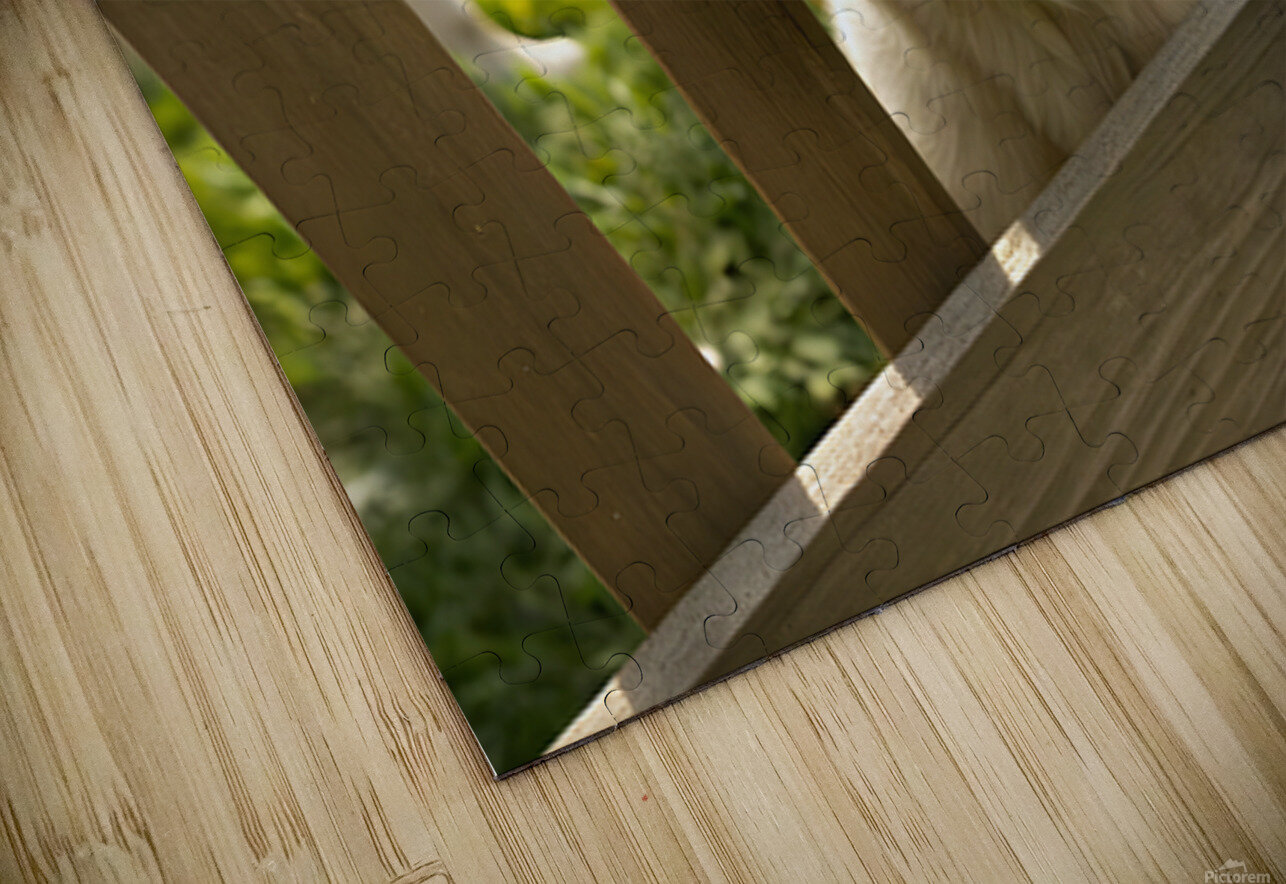 Curious Labrador Retriever Puppy Gazing Through Fence With Friends Puppy Prints Puzzle