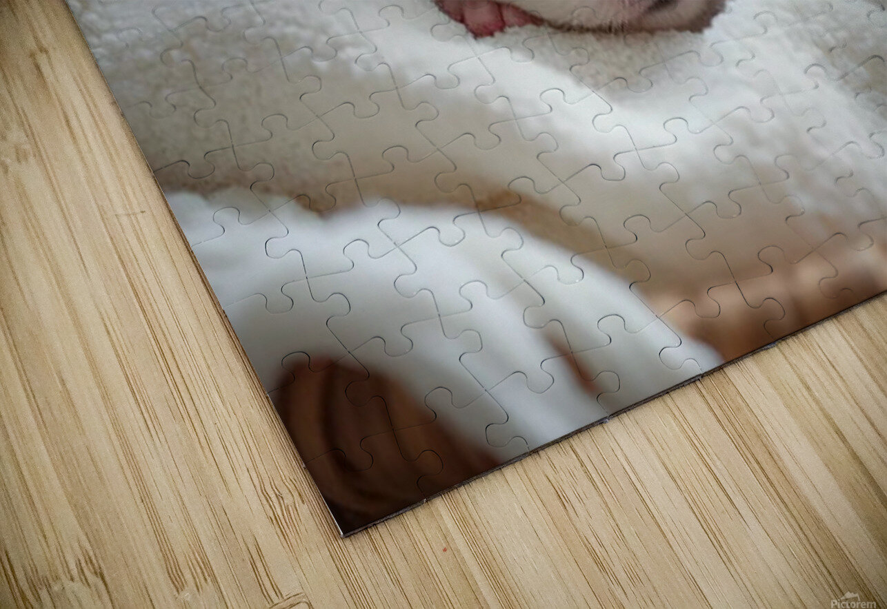 Peaceful Shih Tzu Puppy Sleeps In Cream Towels Puppy Prints Puzzle