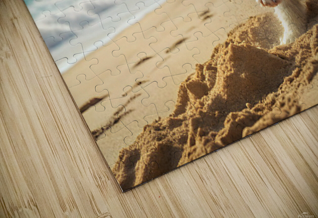 Siberian Husky Puppy Discovers Sandy Beach Fun Puppy Prints Puzzle