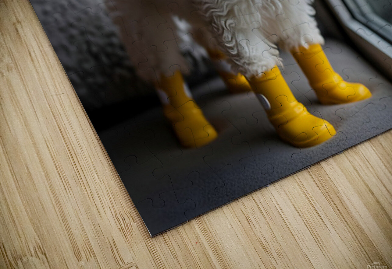 Poodle Puppy Discovers Rainy Day Adventure Puppy Prints Puzzle
