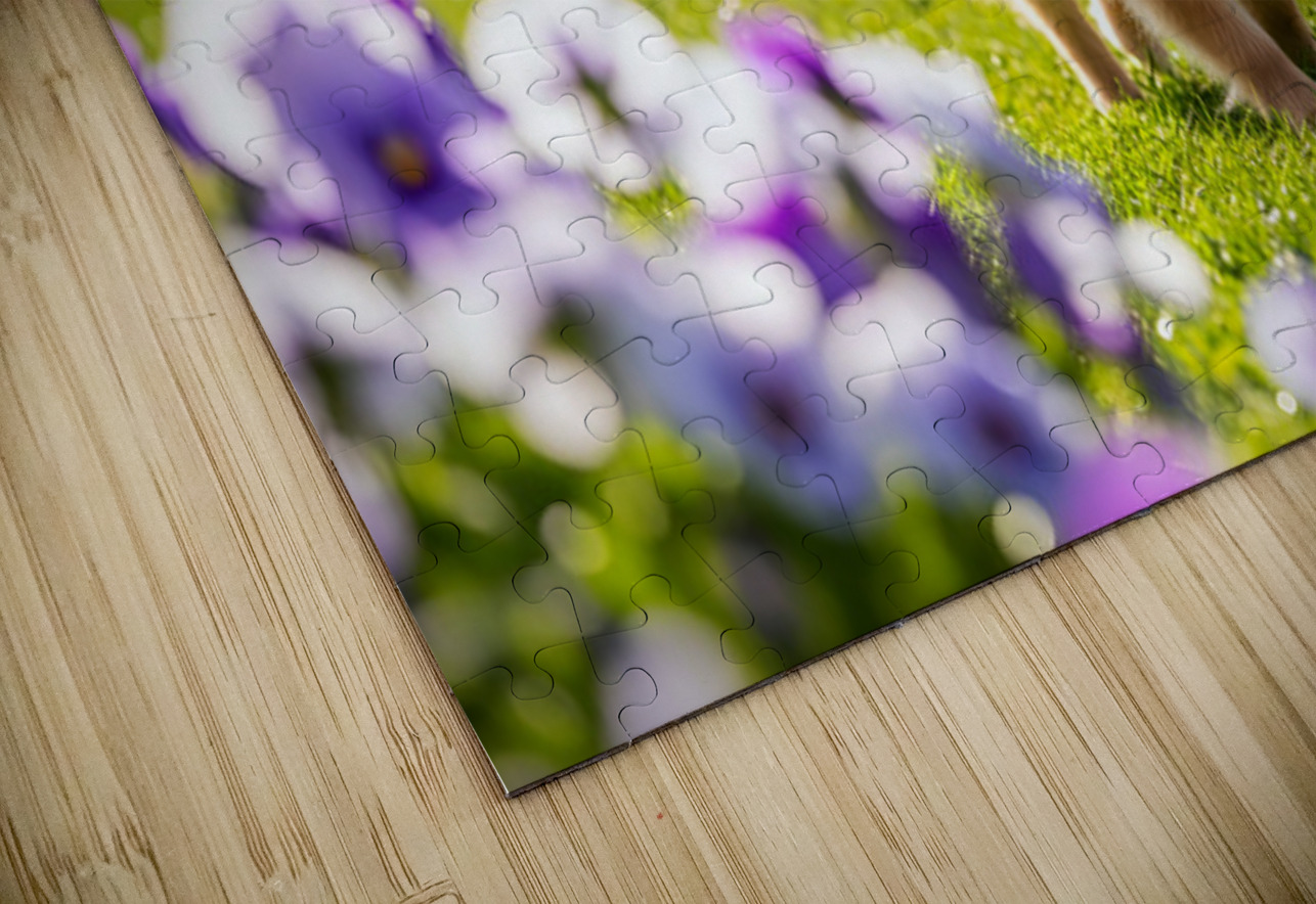 Pomeranian Puppy Masters Leash Walking Happily Puppy Prints Puzzle