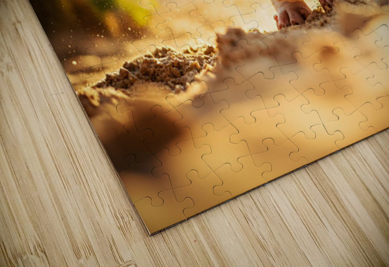 Bulldog Puppy Discovers Sandy Adventure Puppy Prints Puzzle