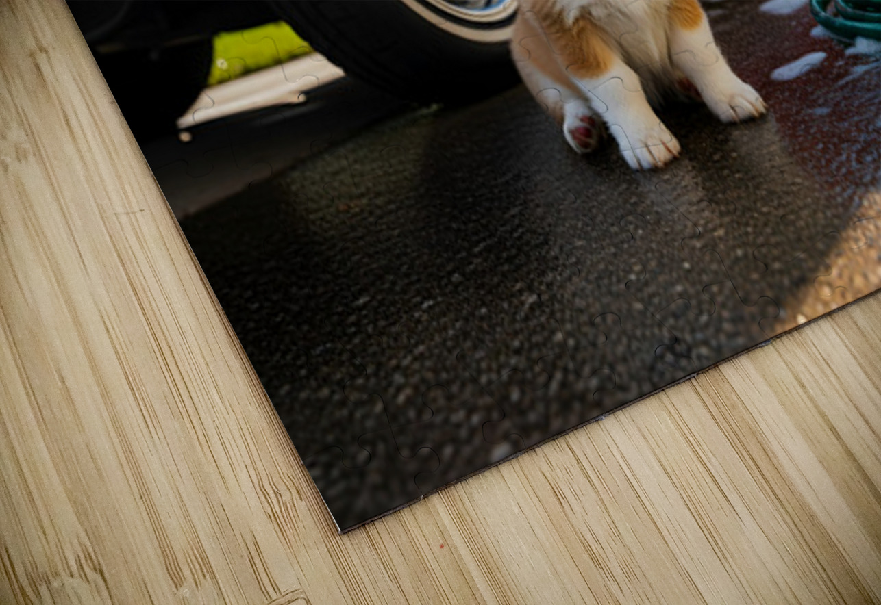 Corgi Puppy Ready For Car Wash Adventure Puppy Prints Puzzle