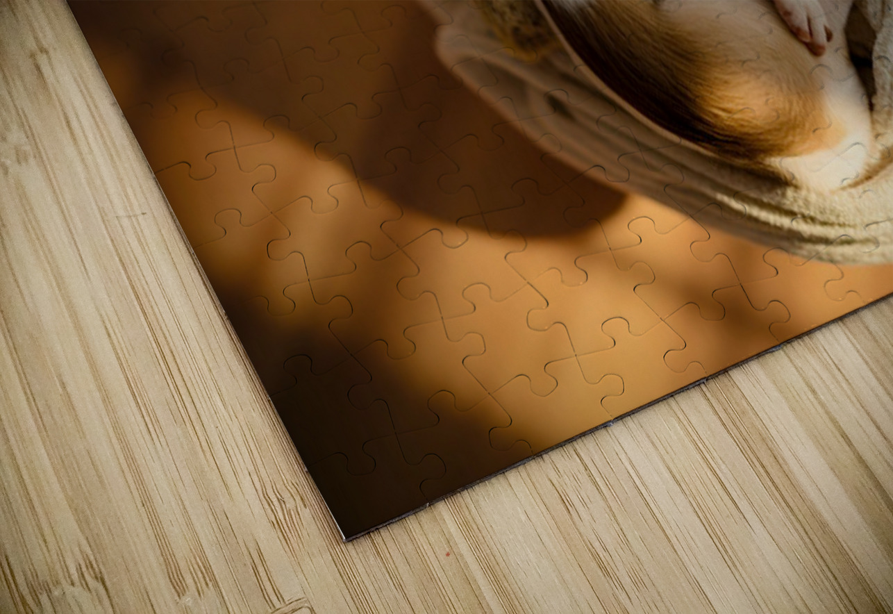 Chihuahua Puppy Naps On Laundry Pile Puppy Prints Puzzle