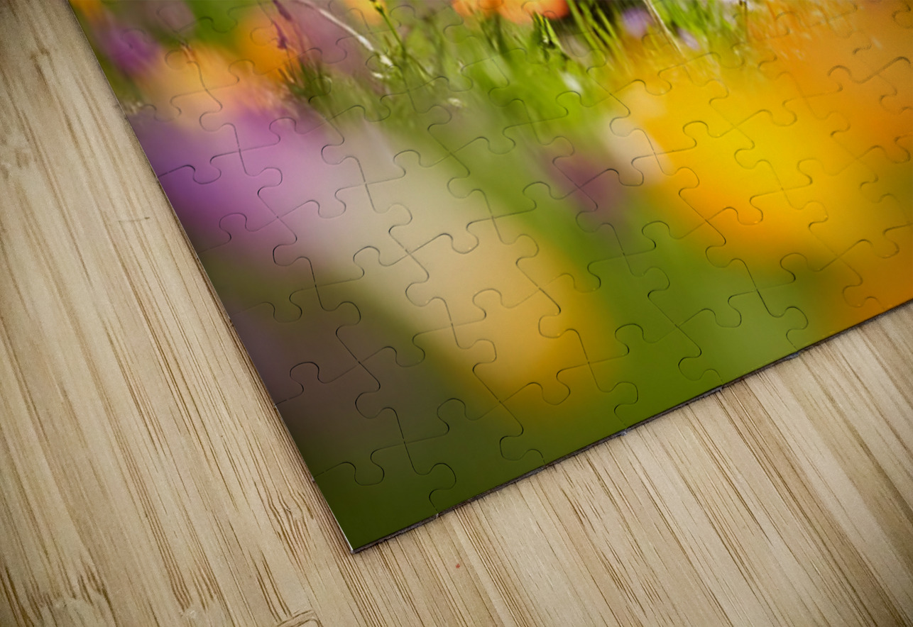 Bichon Frise Puppy Meets Garden Cat Puppy Prints Puzzle