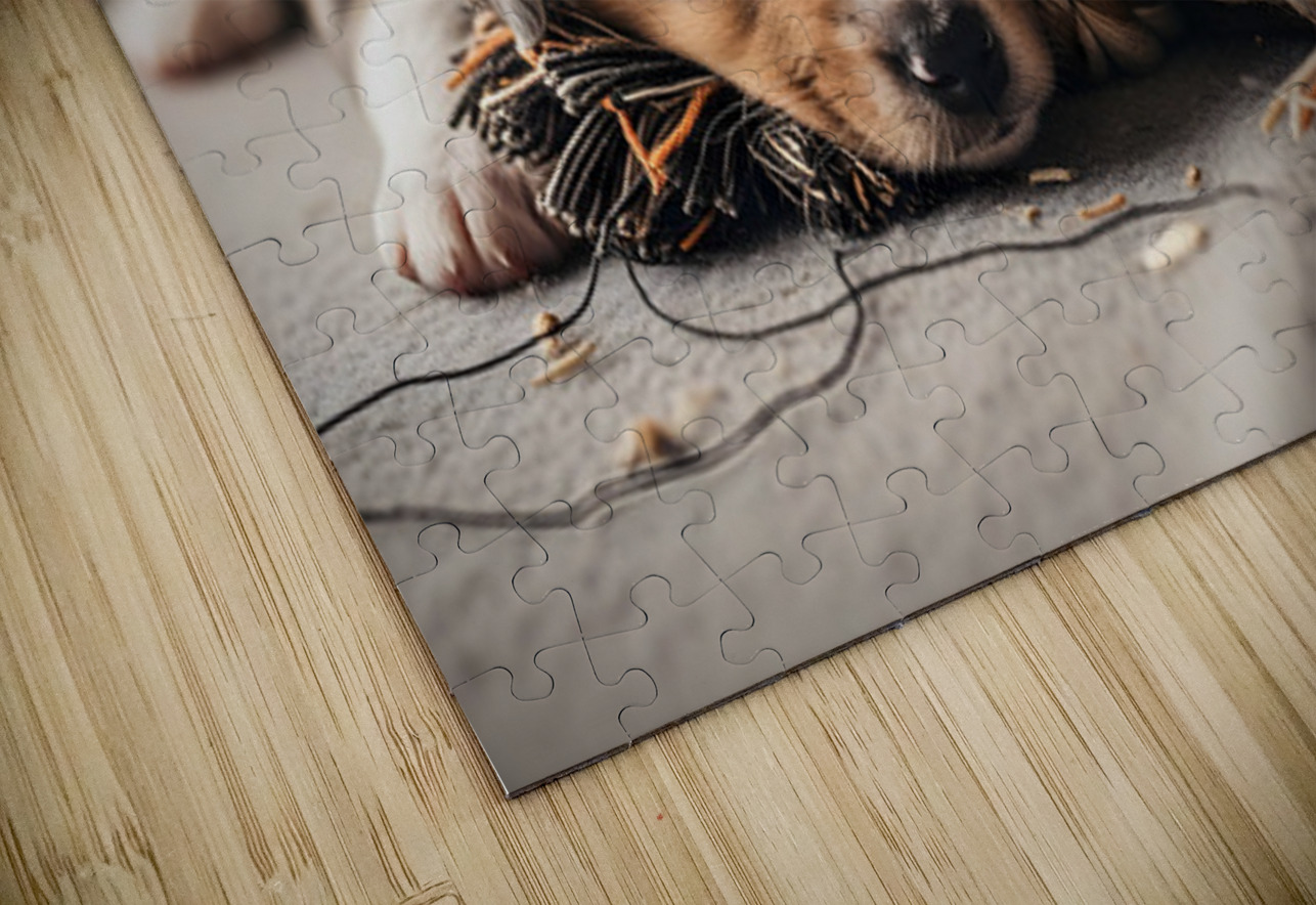 Australian Shepherd Puppy Rests After Playtime Puppy Prints Puzzle