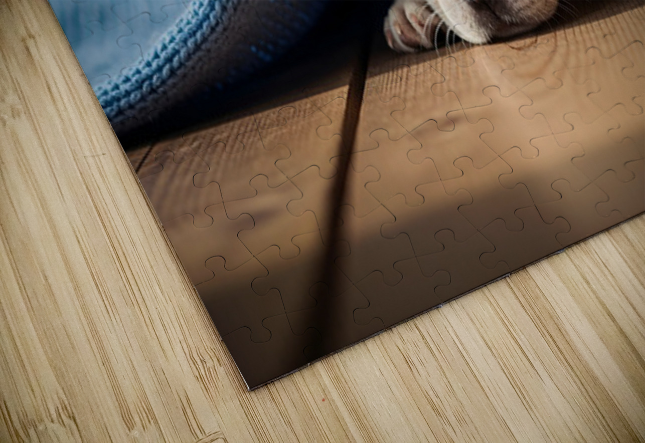 French Bulldog Puppy Discovers Cozy Blanket Adventure Puppy Prints Puzzle