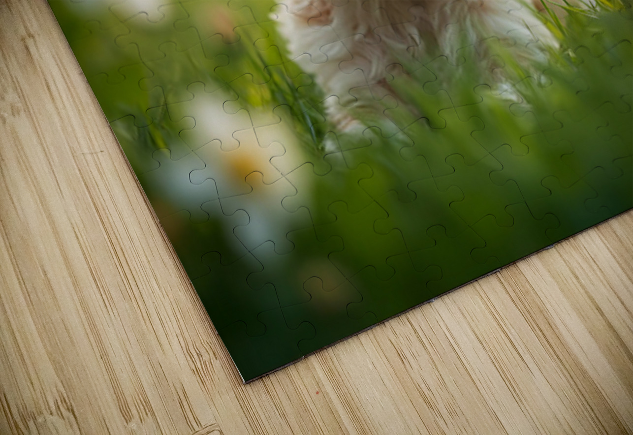 Content Shih Tzu Puppy Watches Butterfly Fly Away Puppy Prints Puzzle