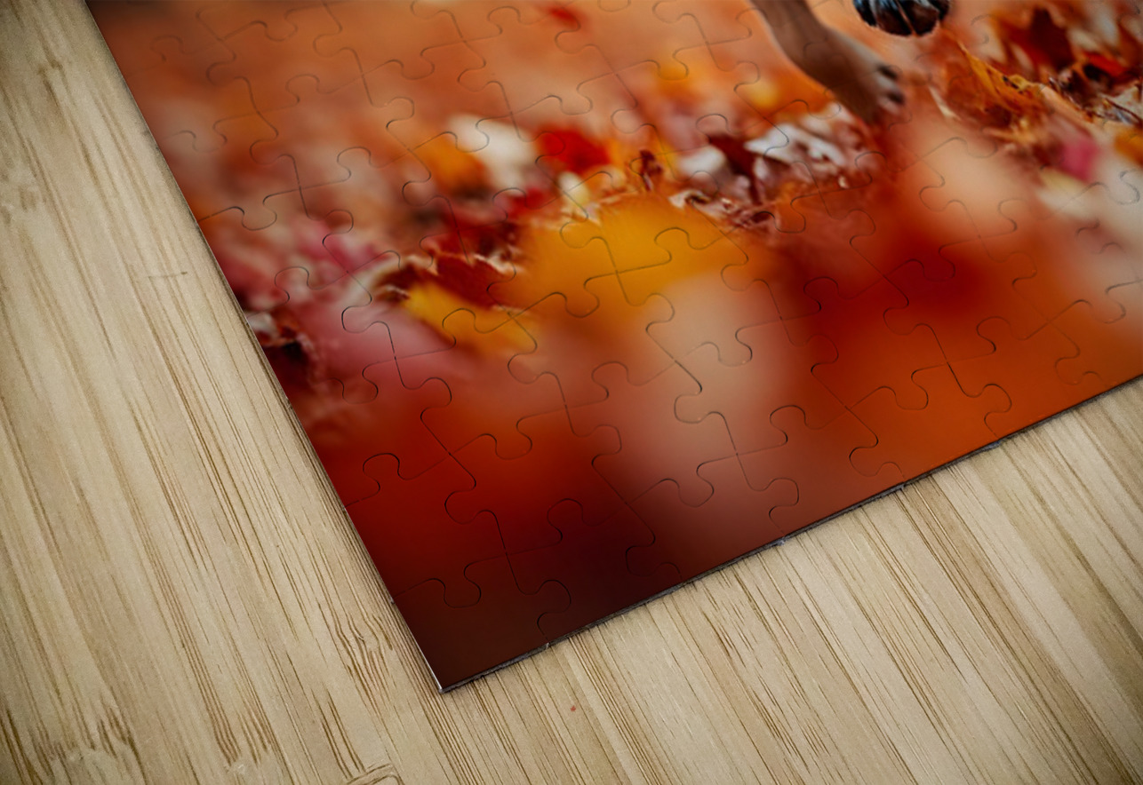 Pug Puppy Discovers Mountain Of Autumn Leaves Puppy Prints Puzzle