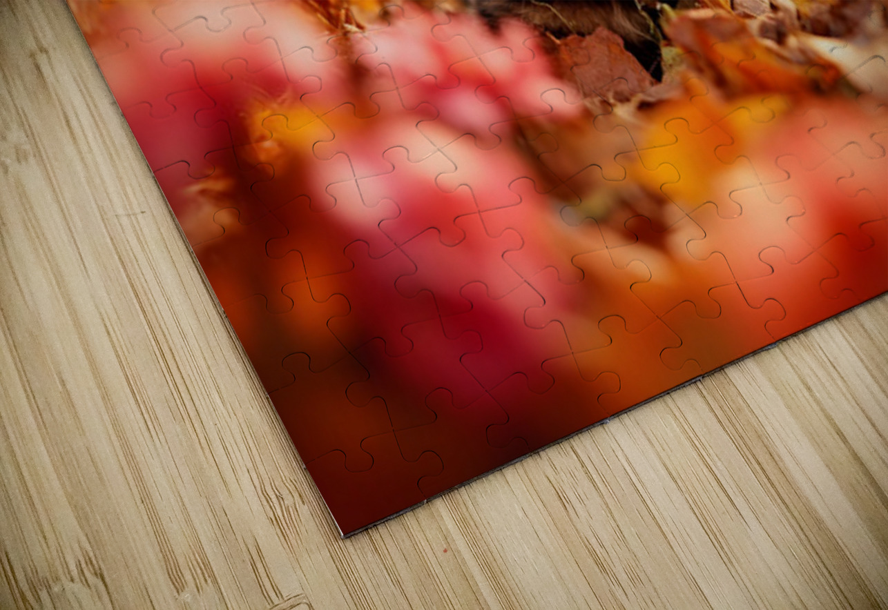 Tired Rottweiler Puppy Rests On Autumn Leaf Bed Puppy Prints Puzzle